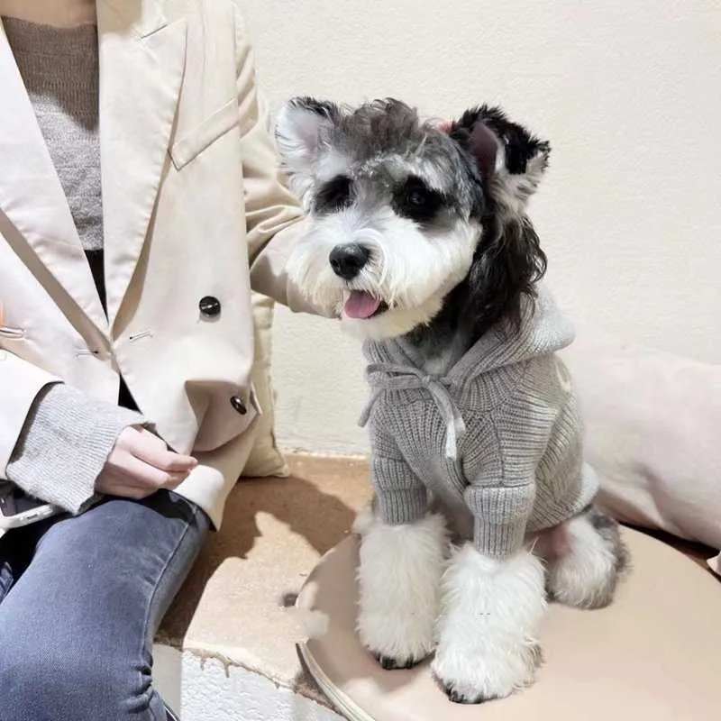 Marque chien vetement sales