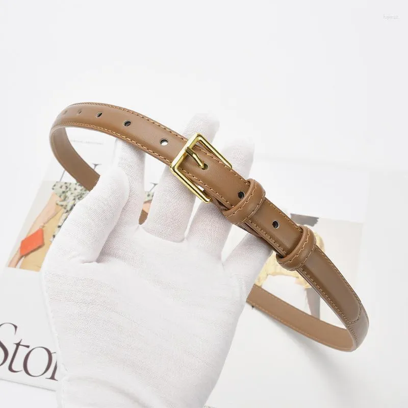Ceinture ms hot sale