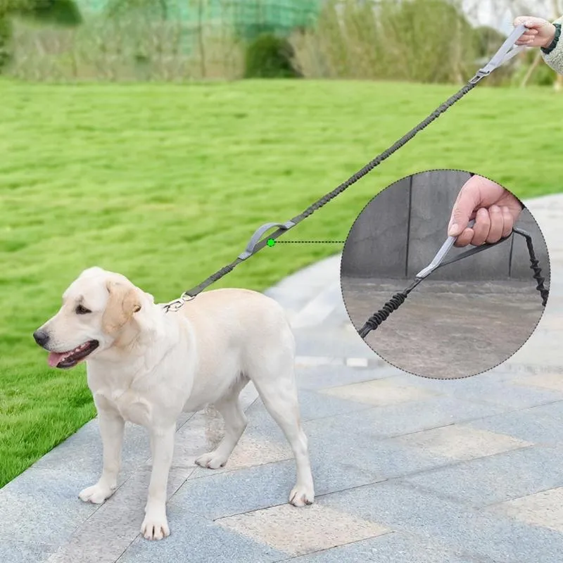 Hundehalsbänder reflektierende Hunde Leine für Nachtspaziergänge