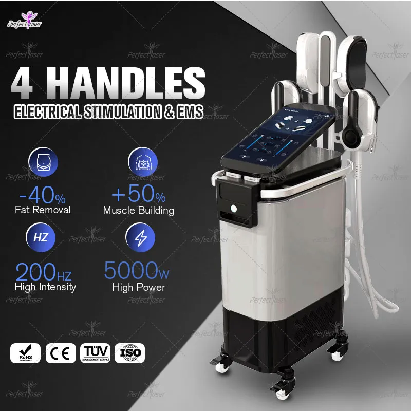 CE FDA Approved Emszero Weight Loss Emslim Machine 4 Handles RF Emt  Slimming Equipment Fat Reduce Body Shaping Device From Beautyclinicmachine,  $5,426.75