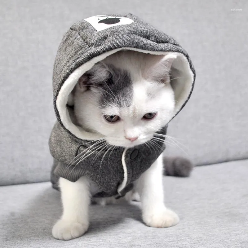 猫の衣装小さな猫のための冬の綿ペットの服