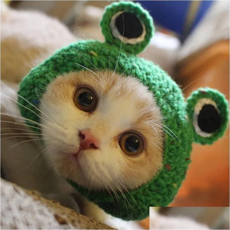 CAT COSTUMES 2021 Funny Props Headwear Addle Cog Cosplay Cap Case Case Warm Frog Hat Year Party Christmas Accessories Drop Droviour Home G DHVC0