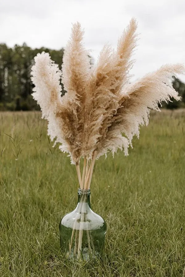 Big pampas grass wedding decor 130cm natural dried reed showcase christmas shopwindow decor real plant 55~60cm