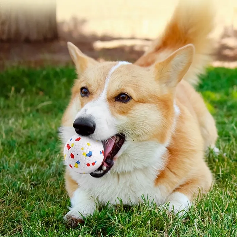 犬のおもちゃを噛むペットのおもちゃのボールライト噛むゴムボール歯のクリーニング噛む抵抗性インタラクティブスローモルハイエラスティックアクセサリー230818