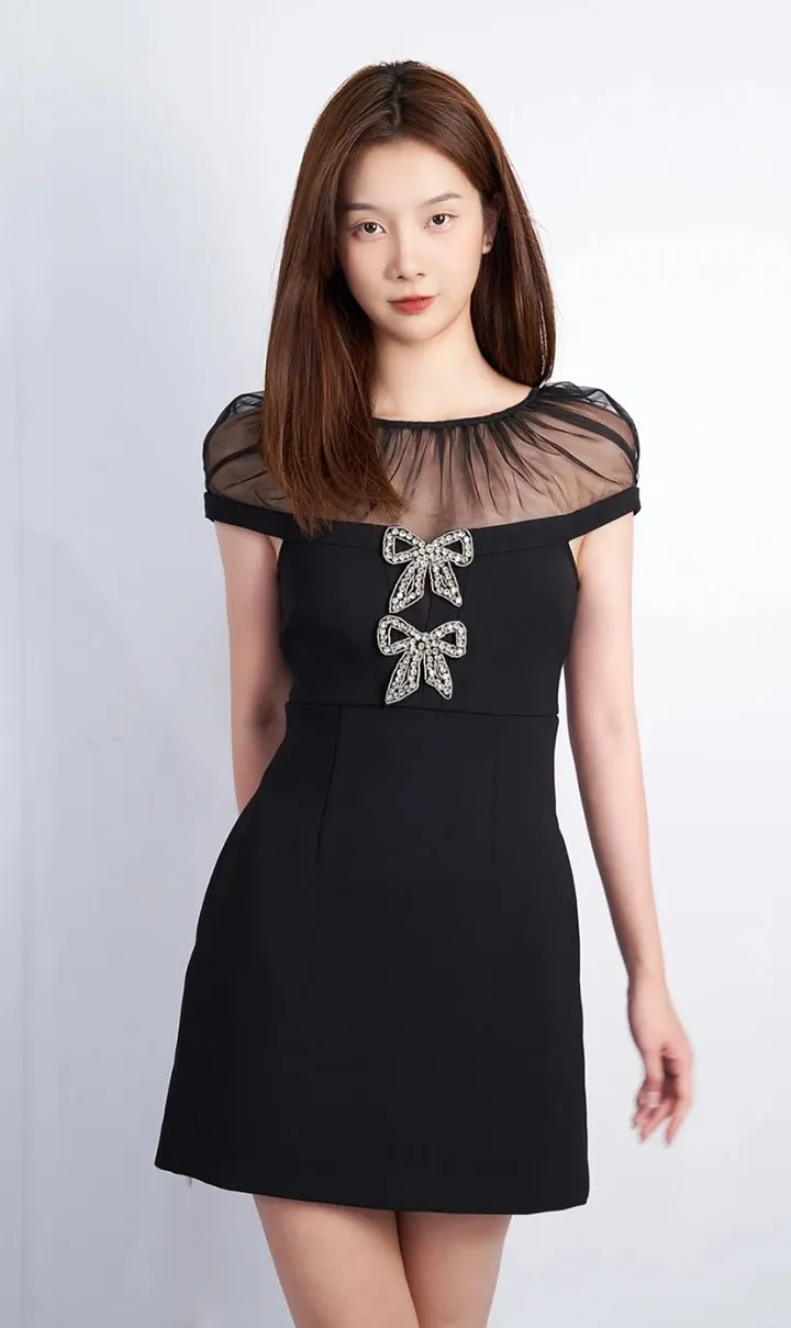 Chic A-Line Mini Dress Stylish Bow Detail, Short Sleeve
