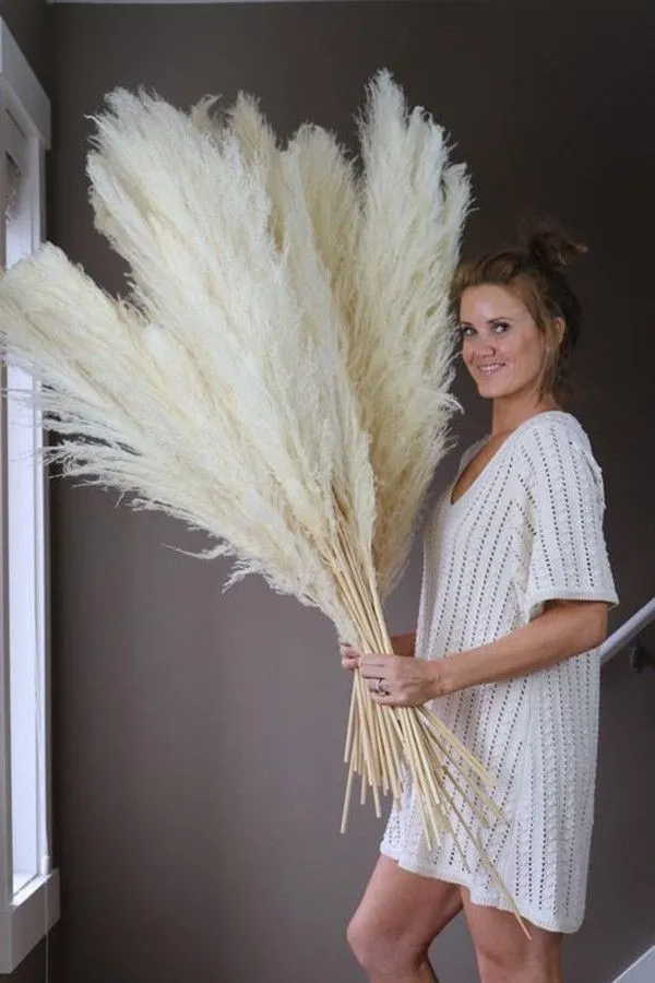 Dried Grass Decor: 130cm Natural Dried Reed For Wedding & Showcase ...