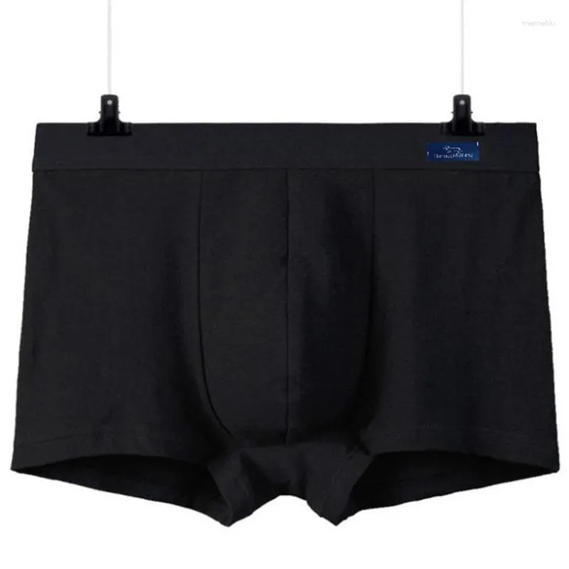Underpants Men Shorts Shorts Shorts Cotone Solid traspirante armonia blaine