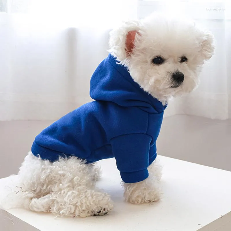 Bluza z kapturem z kapturem psów zimowe ubrania dla zwierząt domowych kota pupy stroje Yorkshire terrier pomoran pudle schnauce