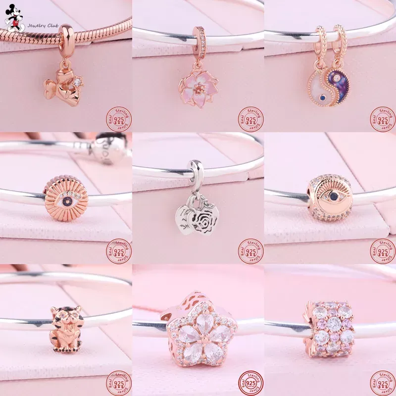 925 Silver Fit Pandora Charm 925 Bracelet Chinese Fortune Pixiu Tiger All-Seeing Eye charms For pandora charm 925 silver beads charms