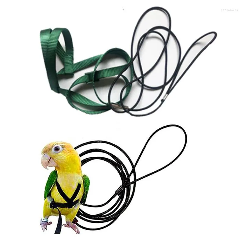 Other Bird Supplies: Training Flying Traction Rope Anti-Bite Leash