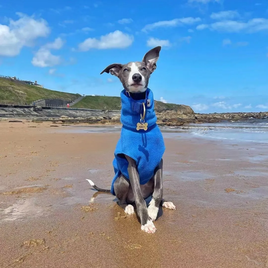 Italian greyhound cheap fleece