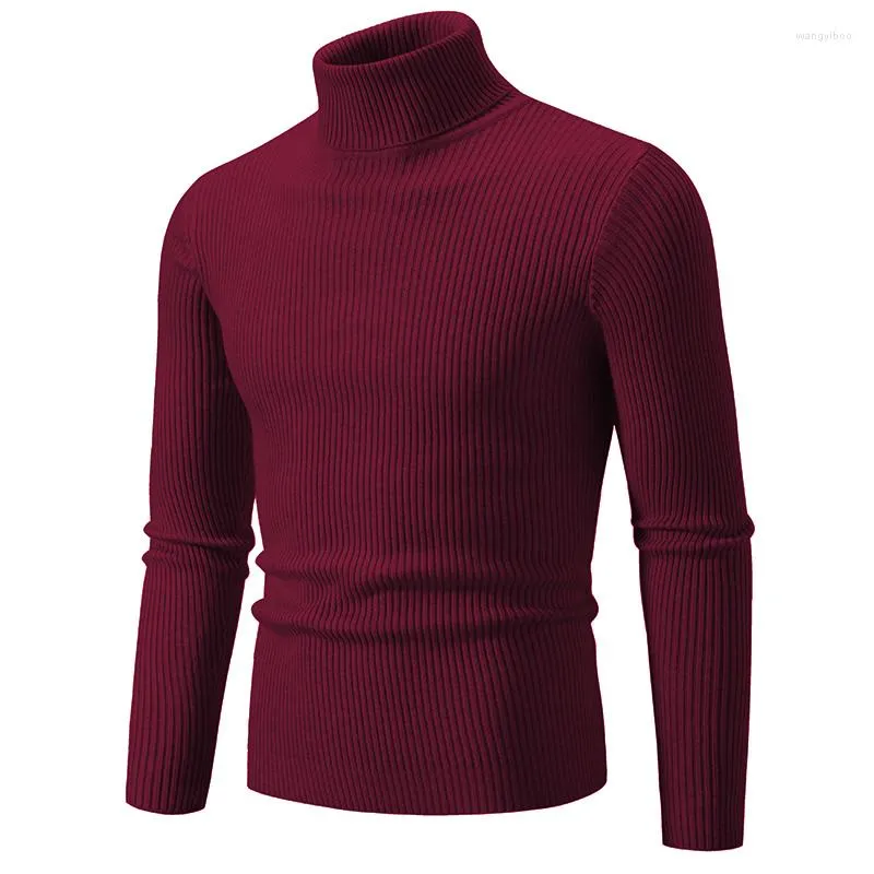 Hommes chandails mode Simple automne hiver chaud haute élasticité col roulé tricot Slim-fit col solide rayé pull USA XS-L
