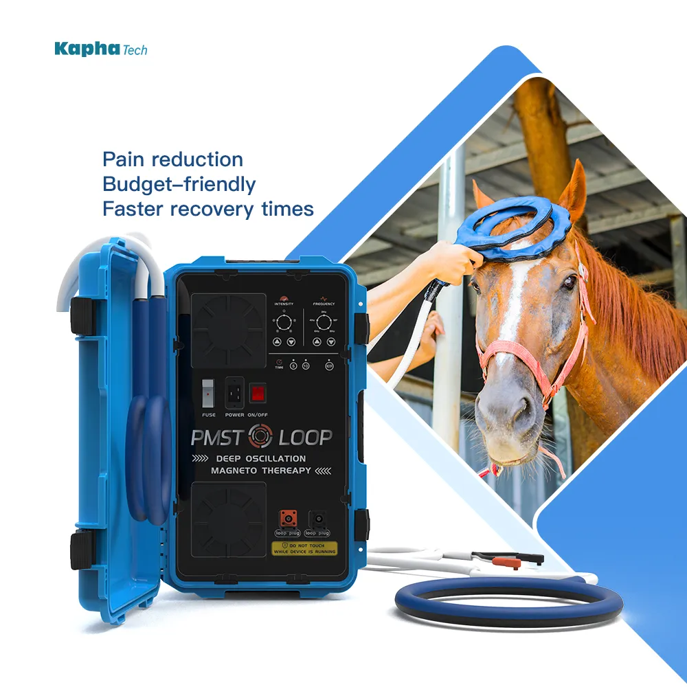 Magnawave Physio Magneto PMST LOOP Vétérinaire Equine Magnetic PEMF Horse Device