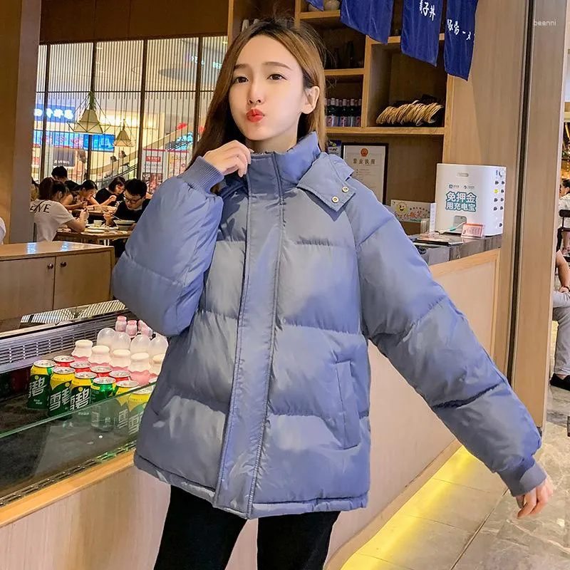 Nice parka top