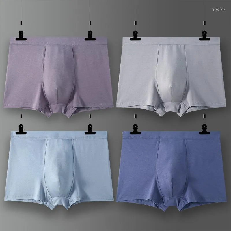 Underpants XL-6XL Мужские нижние кратки.