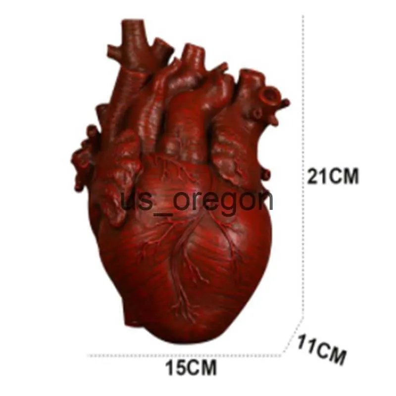 花瓶の解剖学的心臓花瓶x0630 x0821