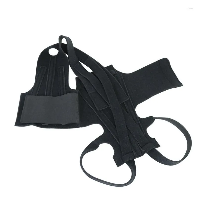 Dog Collars Back Brace For IVDD Pet Comfortable Full Body Harness