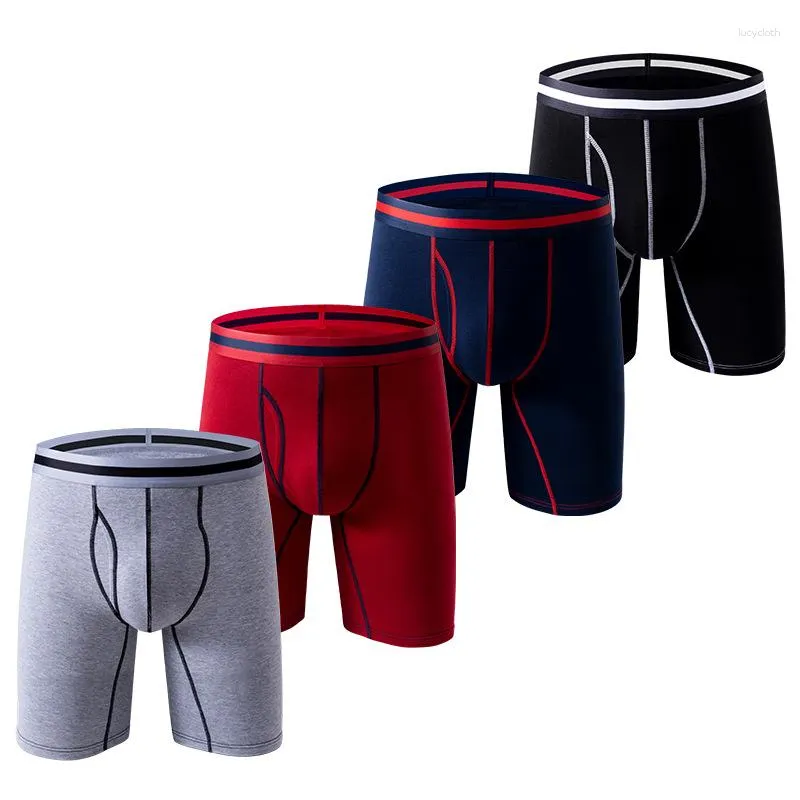 Underpants pugile da uomo pacchetti hipster mutandine di cotone in cotone morbido briefs di pugili lunghi per uomini corti 2023