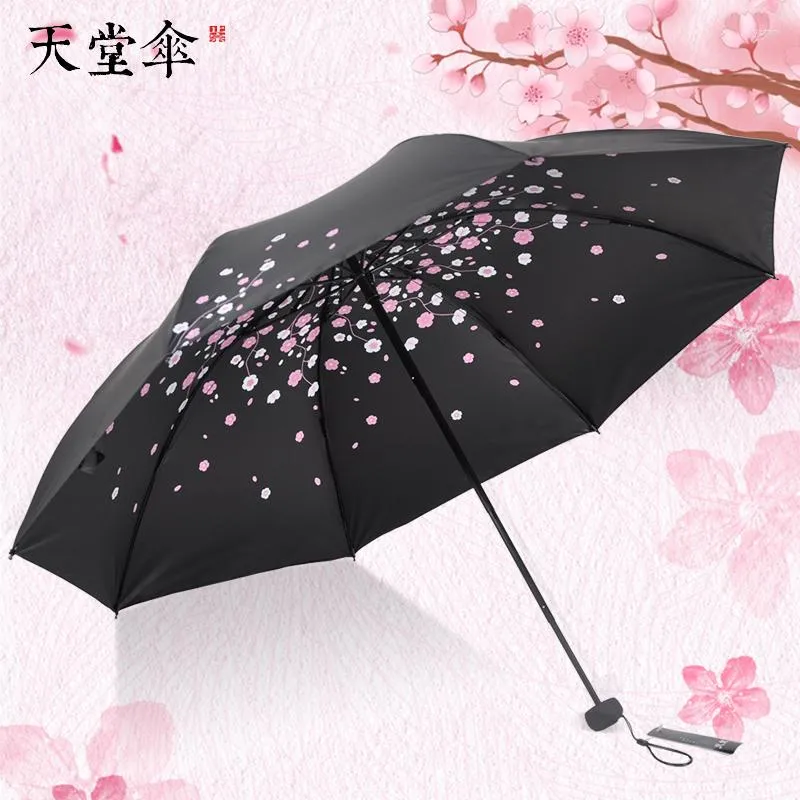 Parapluies Sun Parapluie Protection UV Colle noire Super pluie et double usage pliant femme fraîche