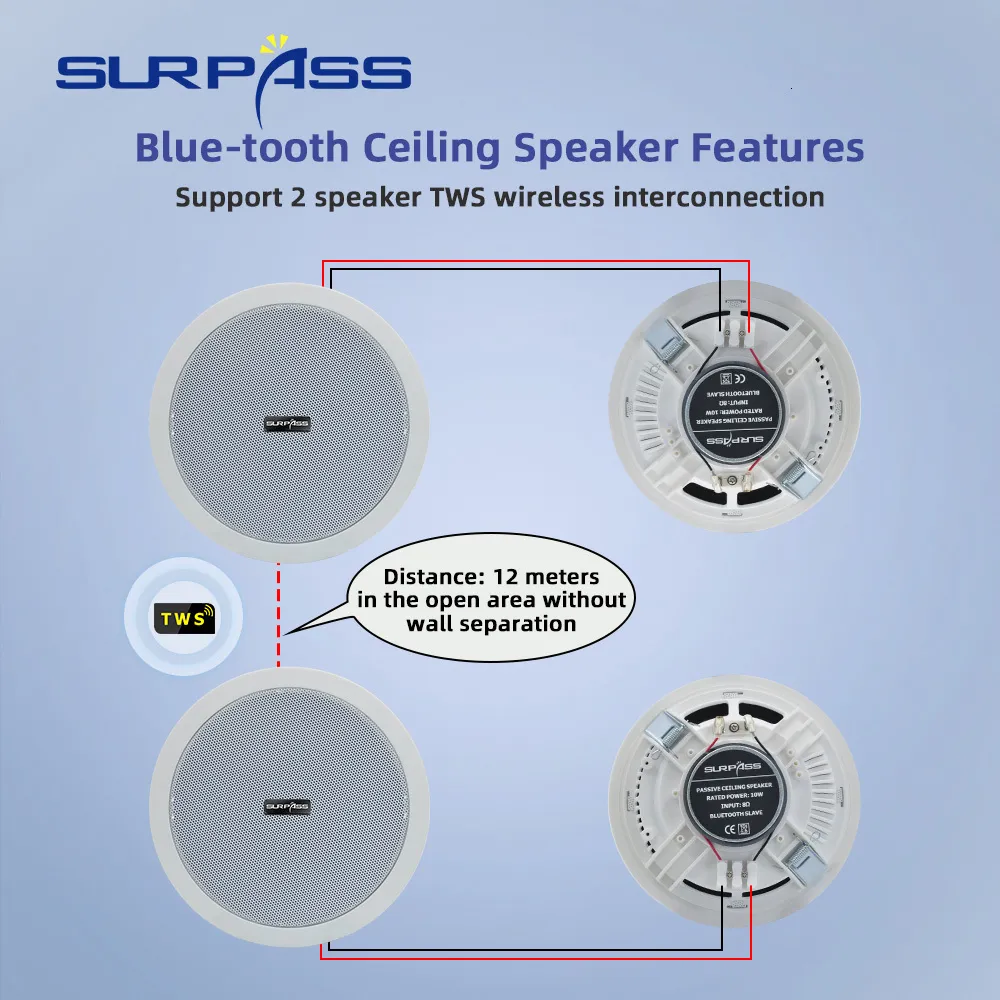 Indoor hotsell ceiling speakers