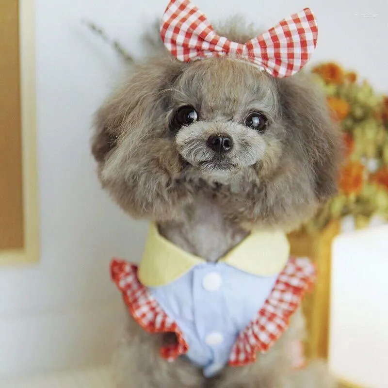 Dog sweater top with plaid skirt