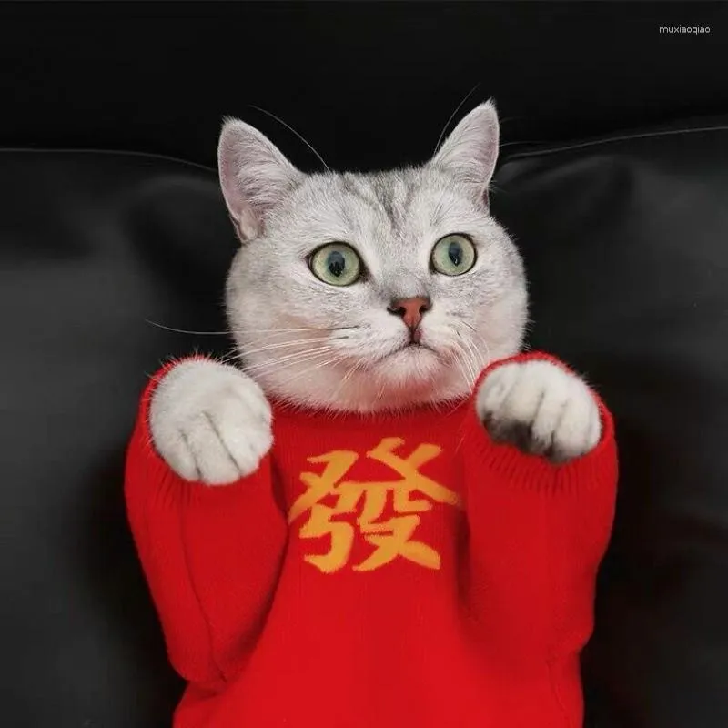 Köpek giyim evcil hayvan kıyafetleri yaz kedi sonbahar kış yıl yavru kedi sıcak ingilizce kısa mavi tüysüz sevimli net kırmızı