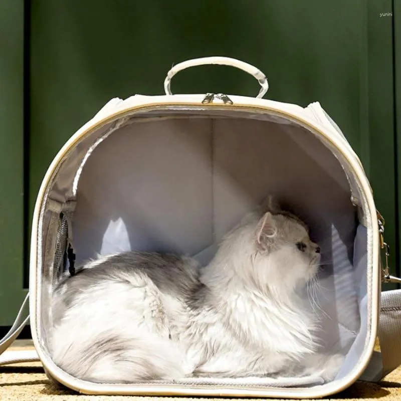 Portatore di gatti spalla per piccola borsa per viaggi per via esterna trasparente gatti portatili zaino traspirante borsetta traspirante Mochila gato