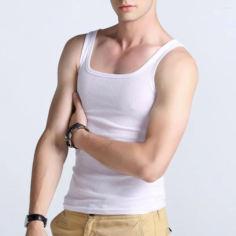 Tampo masculino tampas de tampas de colete de algodão coreano Fitness Sports Sports Summer Sexy Sexy Camisole Solid Elastic Sweat LGBT Man Roupas