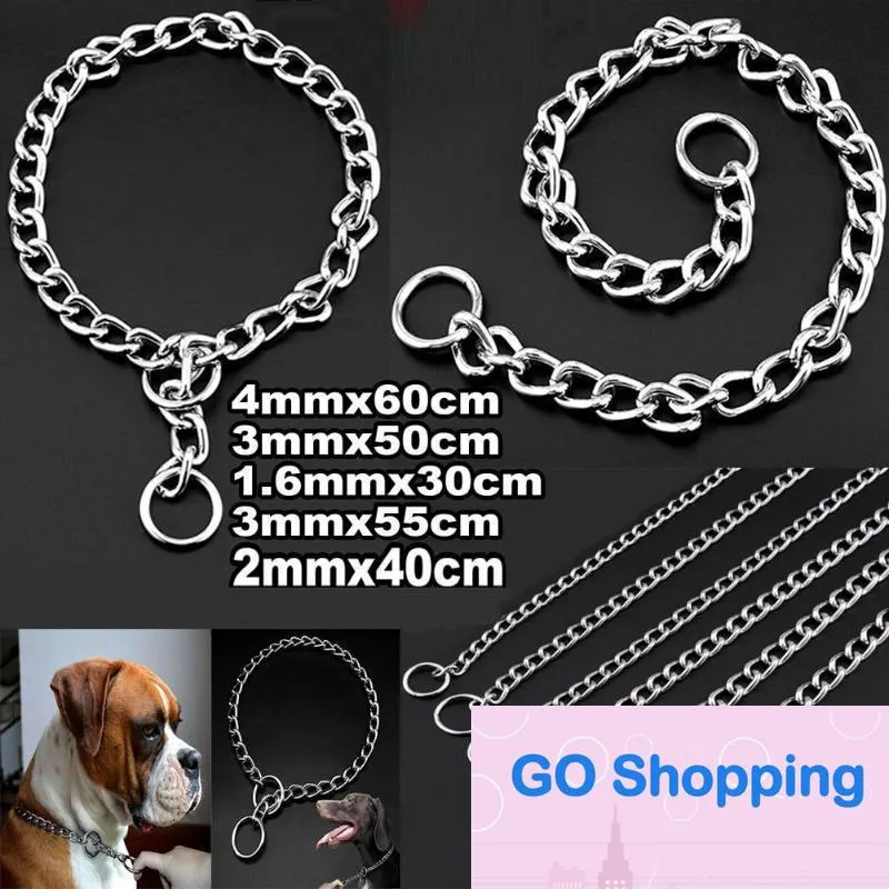 Steel Chain Dog Collar Double Row Chrome Plated Choke Training Show Safety Control Apparel