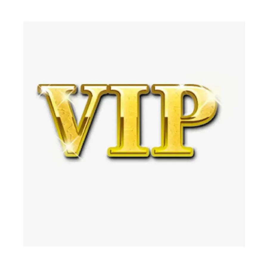 VIP -betalingslink alleen gebruikt voor specifieke betaling of items of merkitem aanpassen