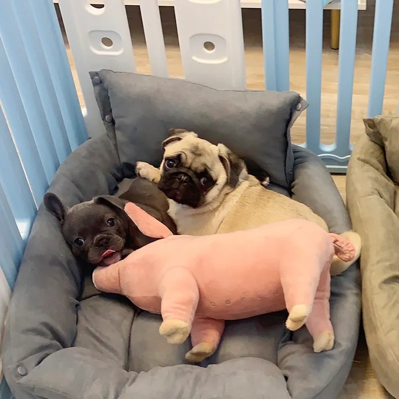 ألعاب الألعاب الرياضية ألعاب الكلاب المضادة محشوة أفخم فاخرة ناعمة التهوية التهوية الجنس corgi sleeping Pink Piggy Pillow Doll French Bulldog Corgi Supplies