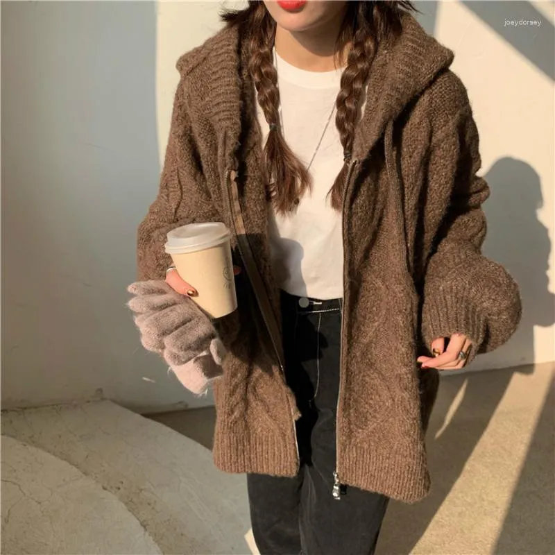 Women's Knits Women Autunno inverno Oversize Cardigan Casual 2023 con cappuccio con cappuccio con cerniera a manica lunga uncinetto.