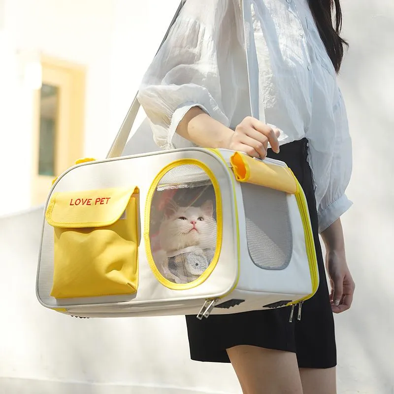 Cat Carriers Cage Clear Cute Bag Women Stuff Mini Backpack Hand Crossbody Kitten Box Travel Jaula Para Gatos Accessories From 56 37 DHgate