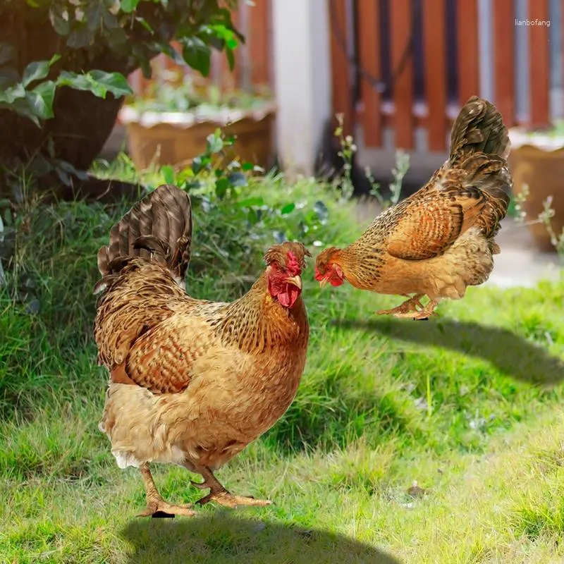 Lot de 1 3 poules de décoration de jardin pour l'extérieur, décoration de  jardin, poulet