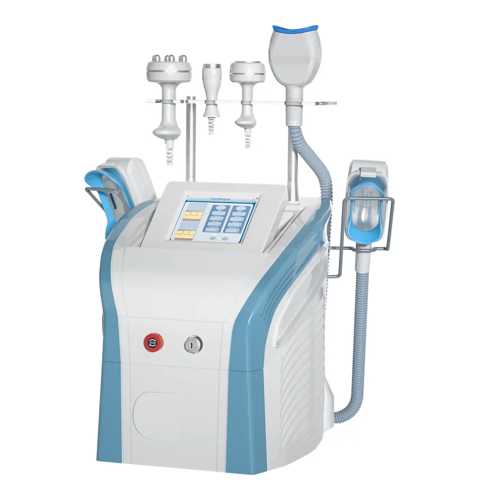 فقدان الوزن 360 ﾰ Cryo الدهون تجميد Cryoliplysis لآلة التخسيس تدعم مقابزين يعملان معًا