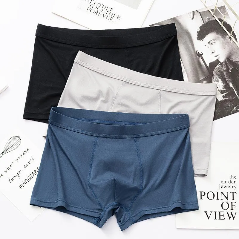 Breathable Modal Mens Boxers With U Pouch 4XL Large Size Fashion Mens  Seamless Underwear For Young Males With Simple Style And Elasticity From  Shacksla, $7.1