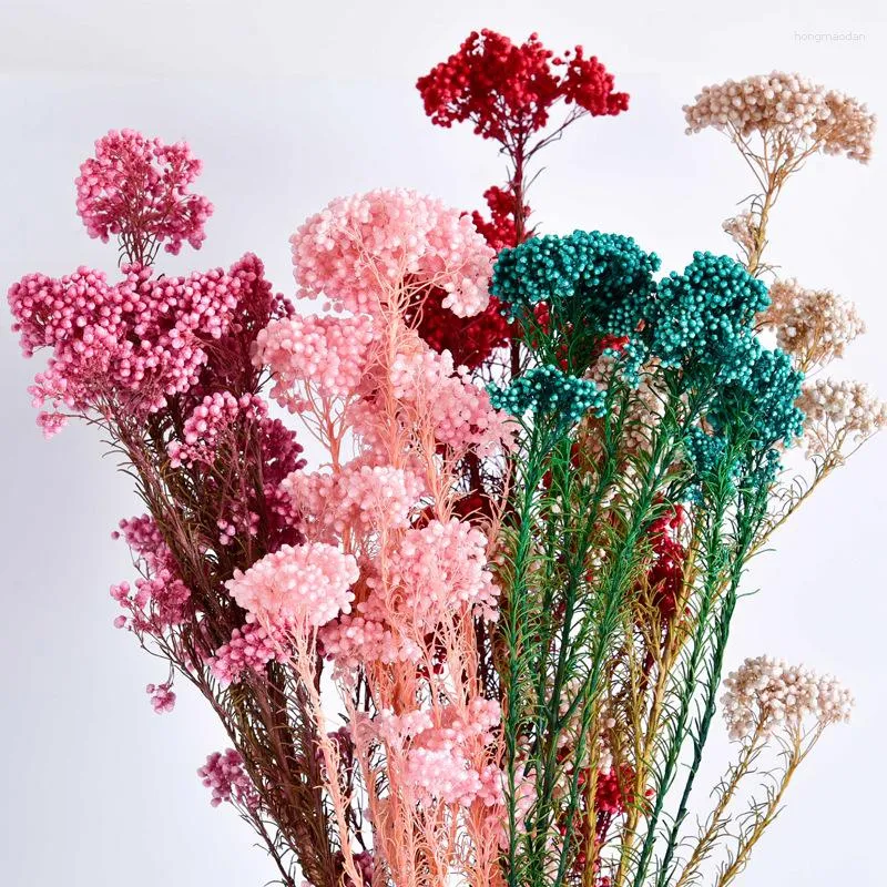 Bouquet de fleurs décoratives Beauty Forever, pour décoration de maison de ferme, décoration de mariage, Ramillete Flores Eternell frais naturel, fleur de millet