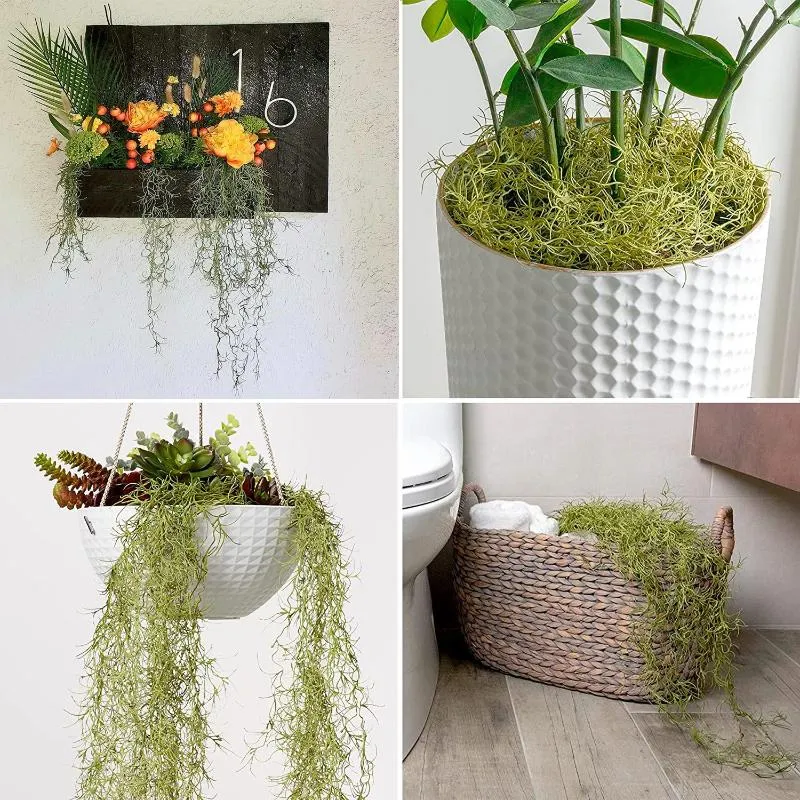 Wholesale High Quality 12 Inch Artificial Spanish Moss Wall Hanging Plants  Vine For Home Plant Wall Decor From Bingjilin, $9.6
