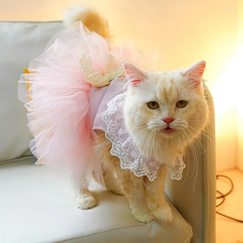 Costumes de chat, vêtements pour animaux de compagnie, petite robe de princesse, robes de bal de mariage pour Bichon, chiot, pull, accessoires Po