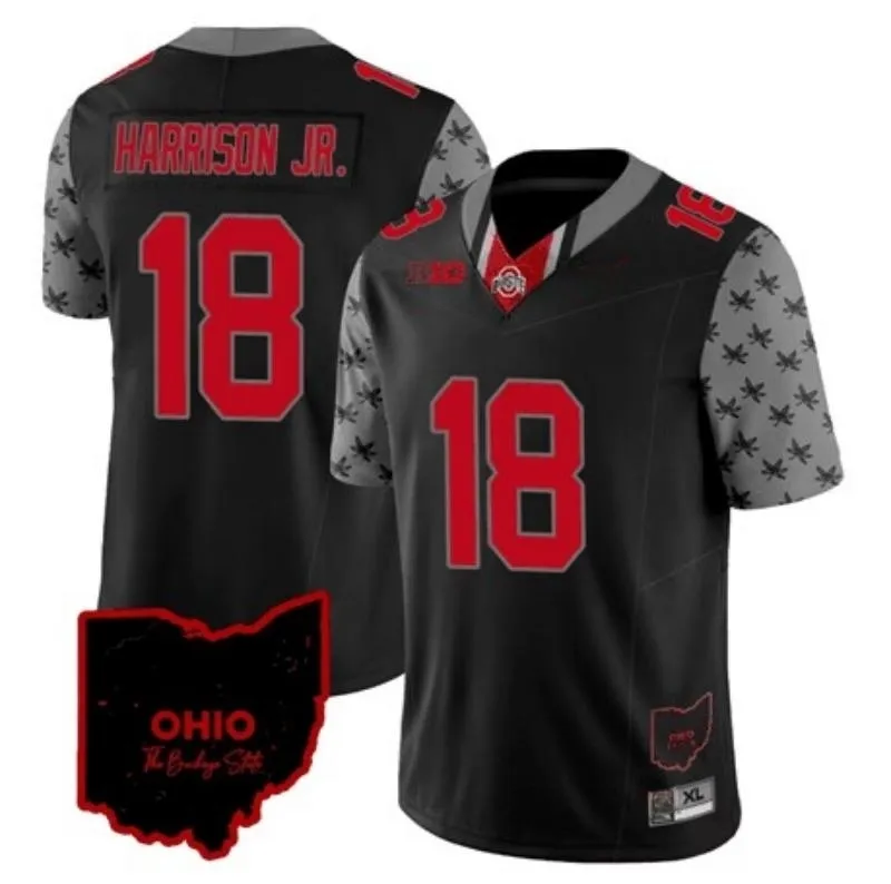 2023 Ohio State Buckeyes Authentic Stitched Jerseys Customizable Player Names Numbers From Wwhyteq1 22.8 DHgate.Com