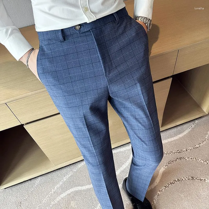 Checkered suit store pants mens