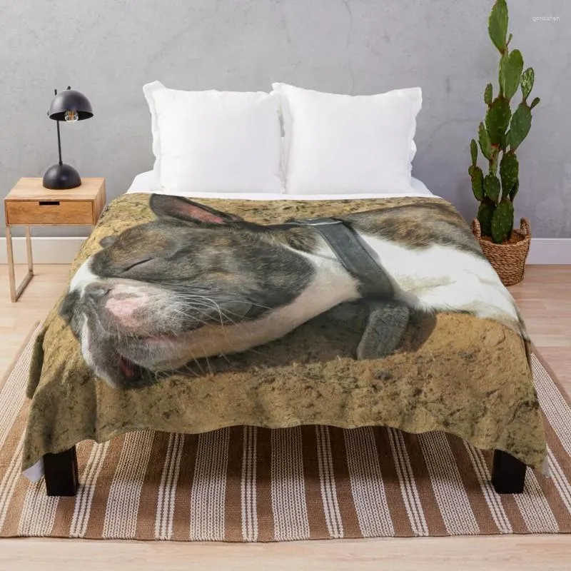Thinnest store warmest blanket