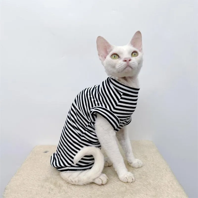 Costumes de chat vêtements mignons automne Sphinx rayé chemise de fond chatons gilet pour Sphynx respirant vêtements pour animaux de compagnie Doven Rex Costume