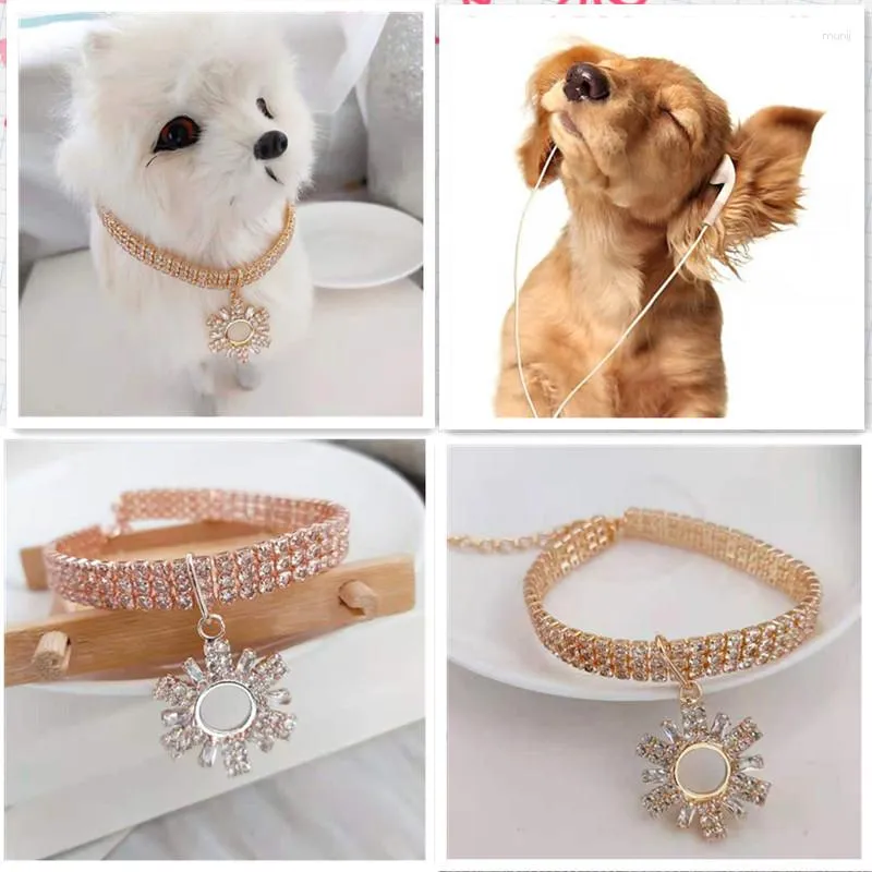 Dog hot sale neck accessories