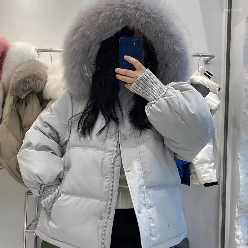 Kvinnors dike rockar vinterkläder kvinnor 2023 fashionabla faux päls krage huva löst tjock håll varm överrock damer casual parkas koreanska