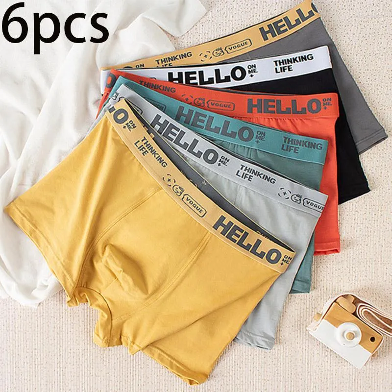 6 Pcs Big Size Briefs Large Underwear For Men Underpants Cotton