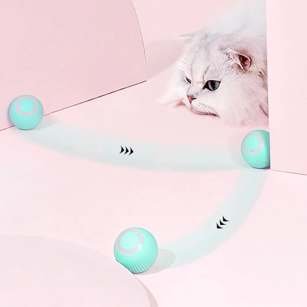 Kitten toys sales and accessories