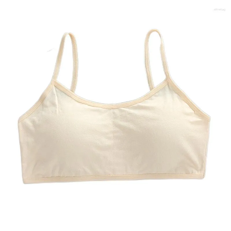 Seamless Underwear For Teens And Kids Bras For Older Women Tops For Sport  Training And Lingerie Ages 12 13 From Almetag, $5.62