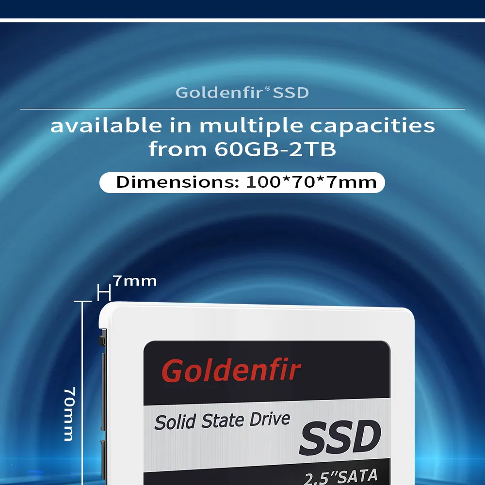 2x Goldenfir SSD 120gb SSD 2.5 disque dur disque solide disques