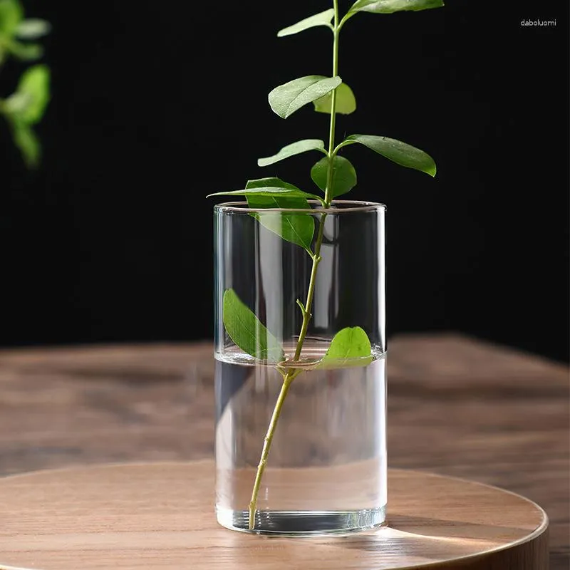 Vasos Vaso de flor de vidro para decoração de casa decorativa terrário plantas enfeites de mesa rústico pequeno